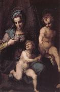 Andrea del Sarto Virgin Mary and Jeusu and John oil painting reproduction